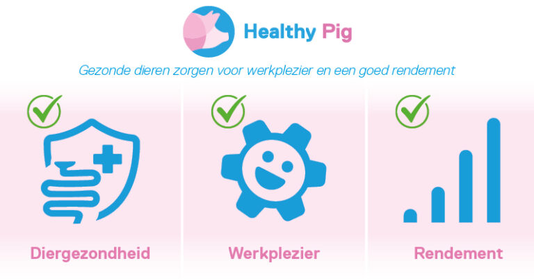 Healthy Pig, rendement, werkplezier, diergezondheid