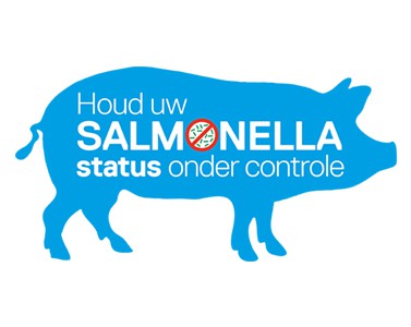 Salmonella, varkens, kanters